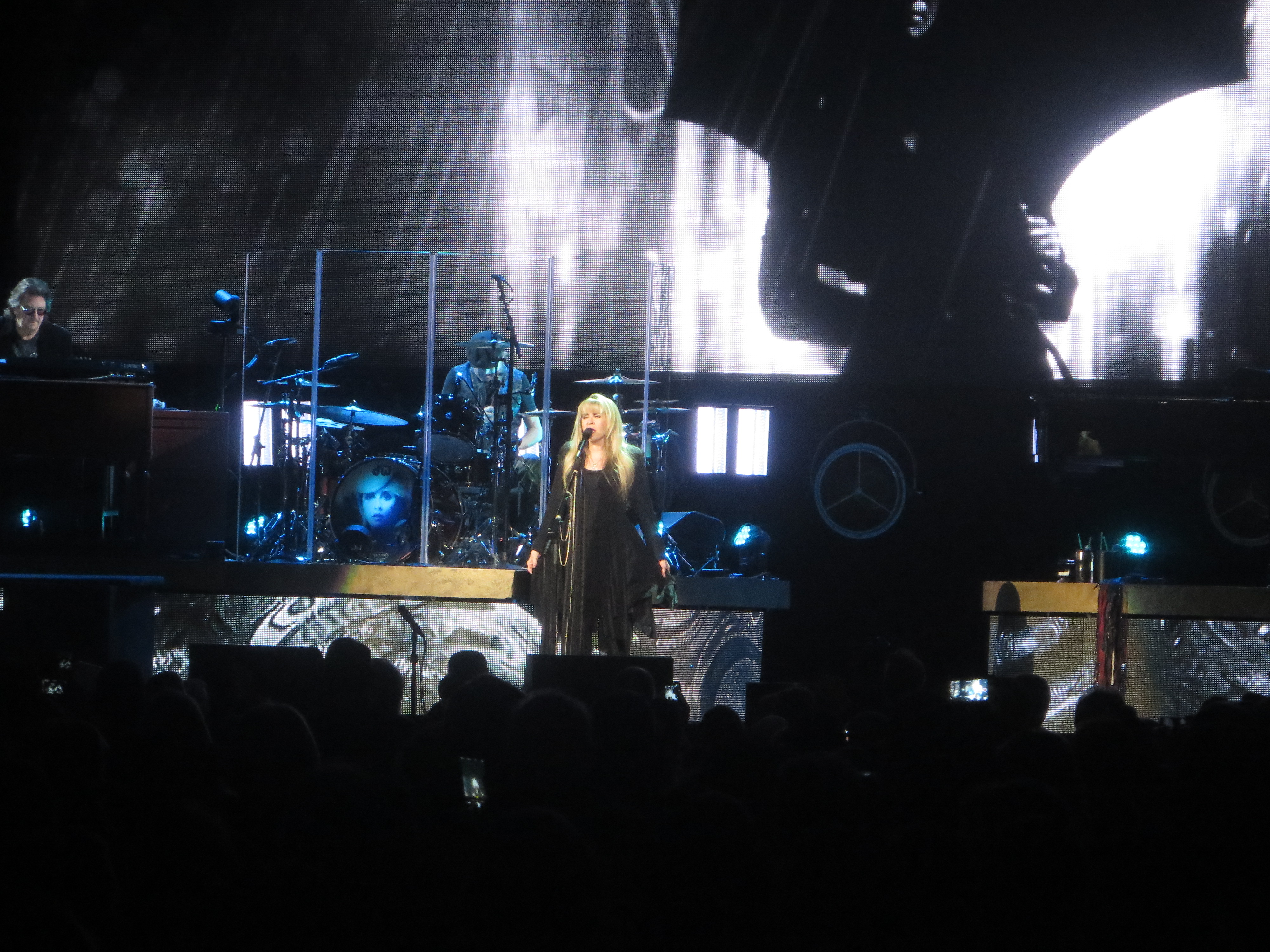 StevieNicks2016-11-29TheCentreTorontoCanada (13).JPG